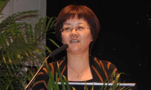 雷火·竞技电竞网站互联总经理、首席规划师 郑爱军