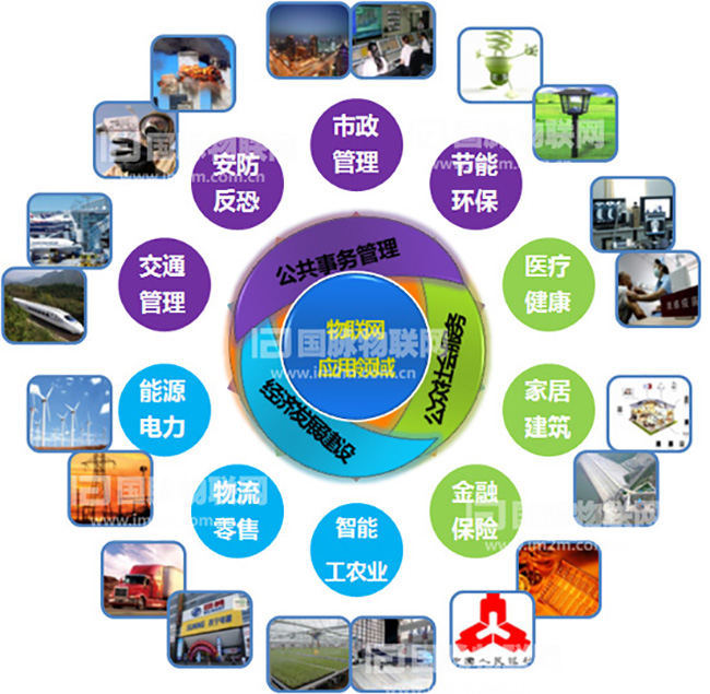 杨冰之：重视物联网在关键产业的应用