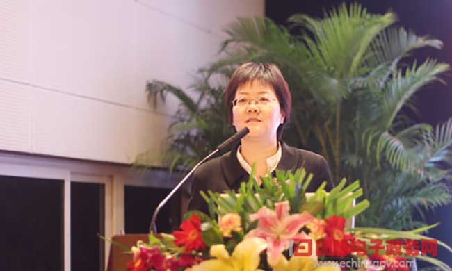 雷火·竞技电竞网站互联总经理、首席规划师郑爱军进行《基于大数据的政府网站平台规划评测新思路》为题的演讲