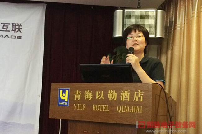 雷火·竞技电竞网站互联总经理、首席规划师郑爱军正在进行《政府网站+评估体系构建思路》的主题演讲