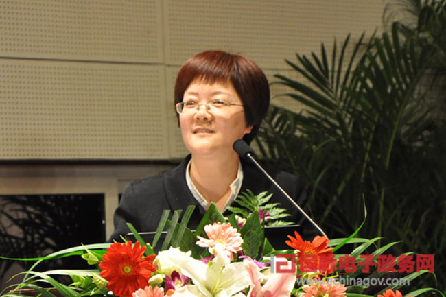 郑爱军：“政府网站+”的认识与实践