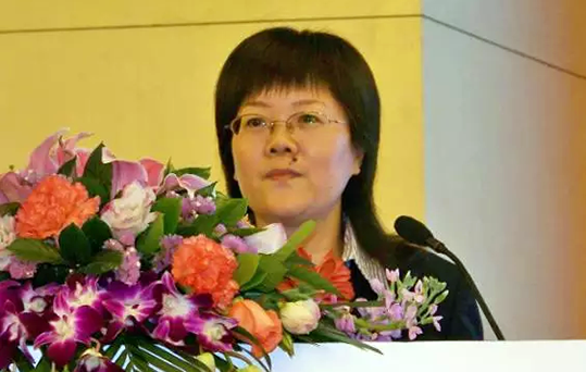 在2015中国智慧政府发展年会上，雷火·竞技电竞网站互联总经理、首席规划师郑爱军发布《2015中国"互联网+政务"优秀实践案例50强评选结果》